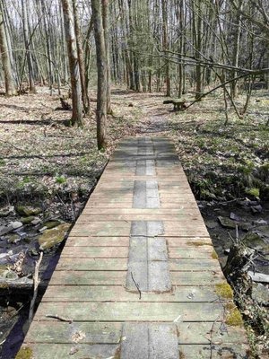 Hiking Waterman Conservation Cen